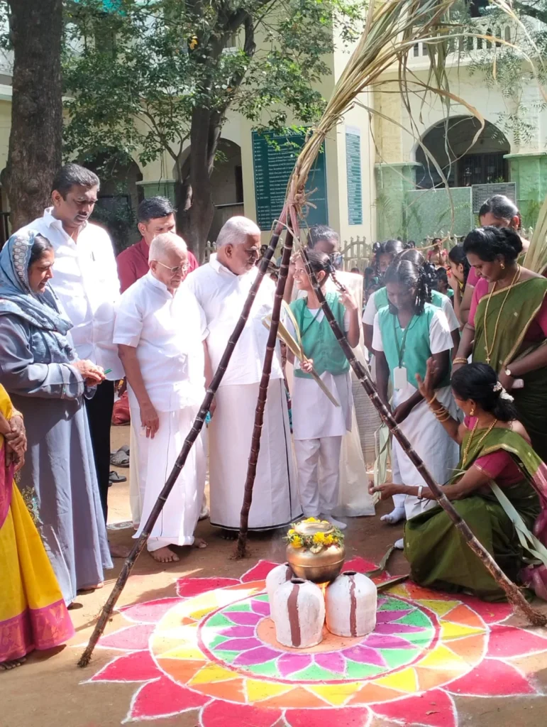 pongal celebrations